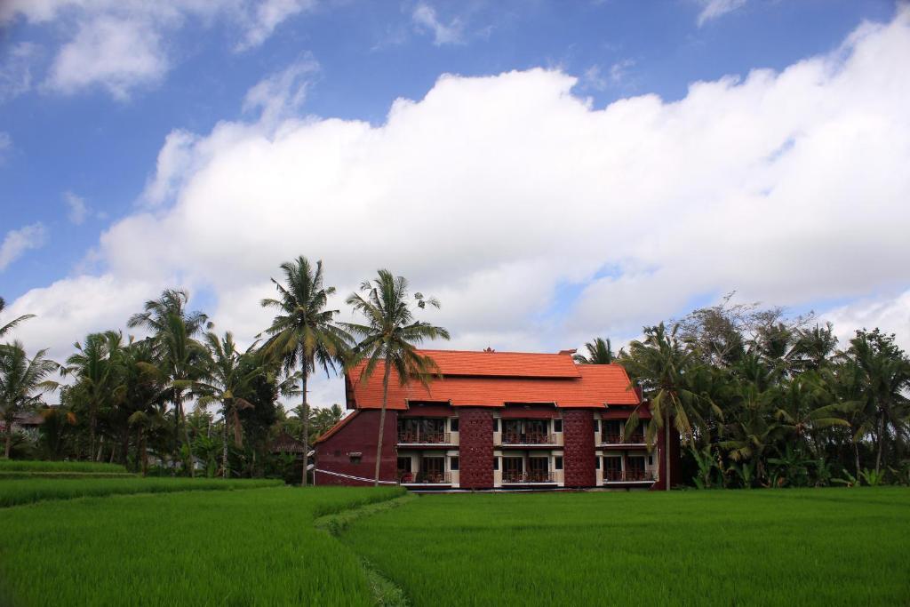 une maison rouge dans un champ d'herbe verte dans l'établissement Junjungan Ubud Hotel and Spa, à Ubud