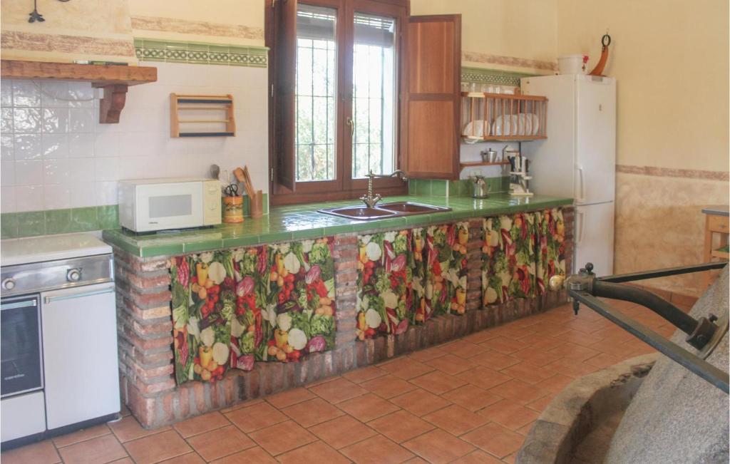 Kuchyňa alebo kuchynka v ubytovaní Lovely Home In Villaviciosa De Cordoba