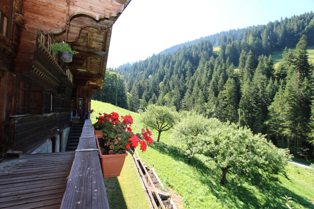 Příroda nedaleko apartmánu
