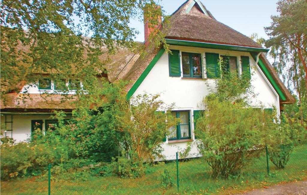 an old white house with a thatched roof at Amazing Apartment In Prerow With Kitchen in Prerow