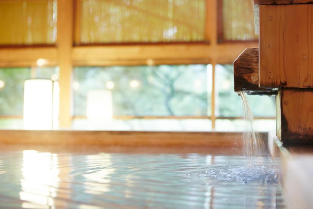 Fotografie z fotogalerie ubytování Kinugawa Onsen Hotel v destinaci Nikko