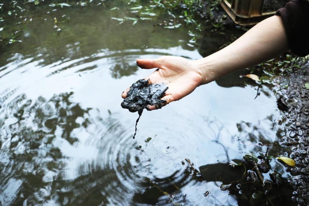 a hand holding a rock in the water at 檸檬草ー奄美の自然の香る宿ー in Amami