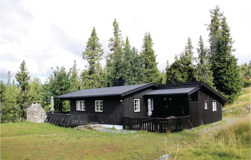 een zwarte hut op een heuvel met bomen op de achtergrond bij Stunning Home In Sjusjen With Kitchen in Sjusjøen
