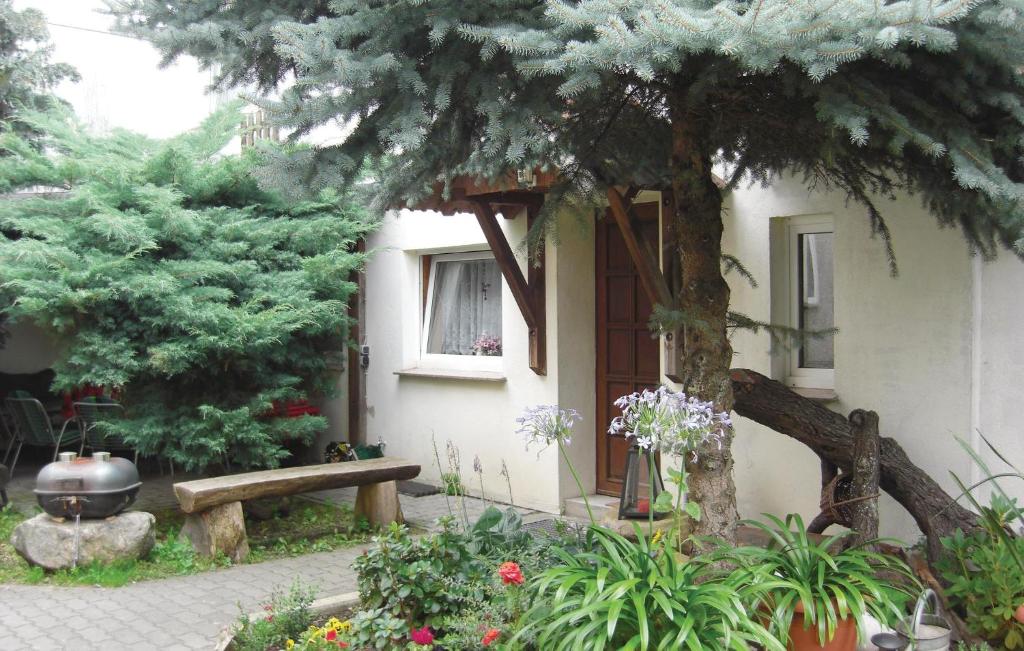 um jardim com um banco e uma árvore e um edifício em Lovely Home In Heideblick With Kitchen em Langengrassau