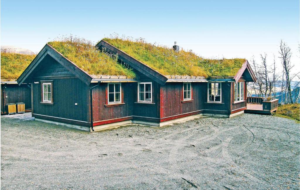 ヘムセダールにあるLovely Home In Hemsedal With Wifiの草屋根の家