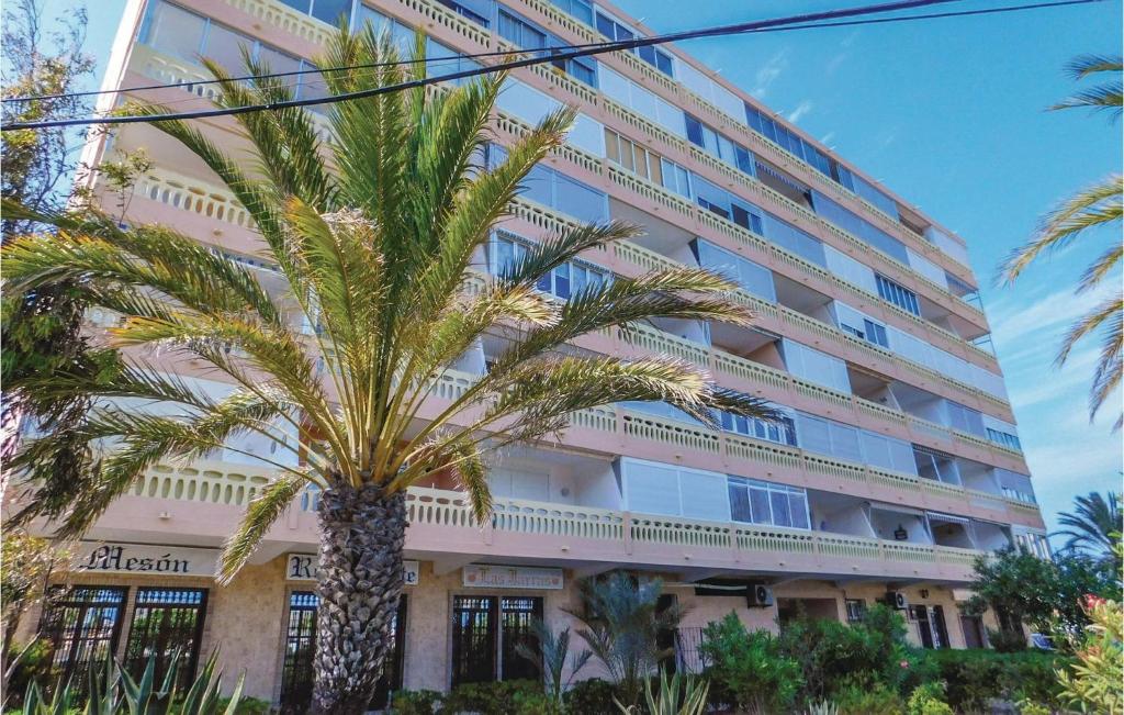 una palmera delante de un edificio en Pet Friendly Apartment, en La Mata