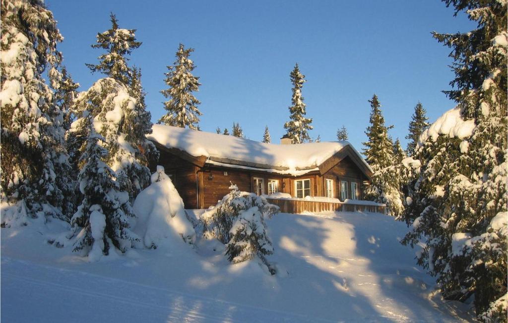 eine Blockhütte im Schnee mit schneebedeckten Bäumen in der Unterkunft Sjusjen Pihl 185 in Sjusjøen