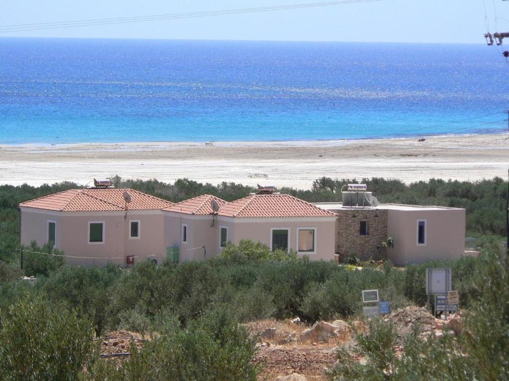uma casa na praia com o oceano ao fundo em Alkionides Villas em Xerokampos