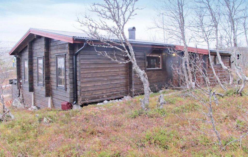 eine Blockhütte auf einem Hügel mit einem Baum in der Unterkunft Lovely Home In Vemdalen With Ethernet Internet in Storhågna