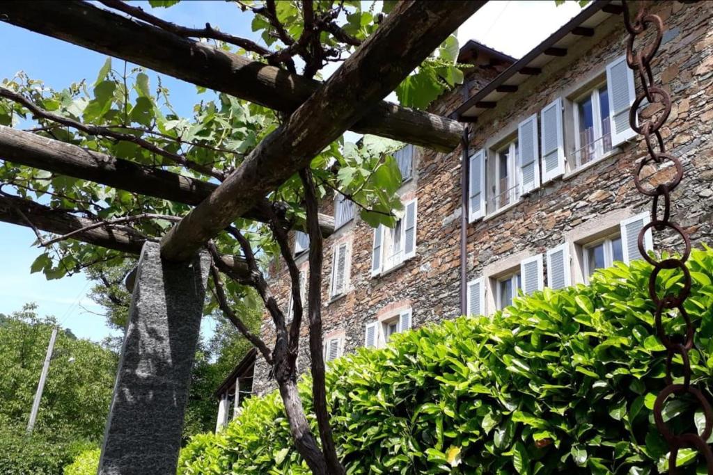 un bâtiment avec un arbre en face dans l'établissement Casa Hürlimann, à Breno