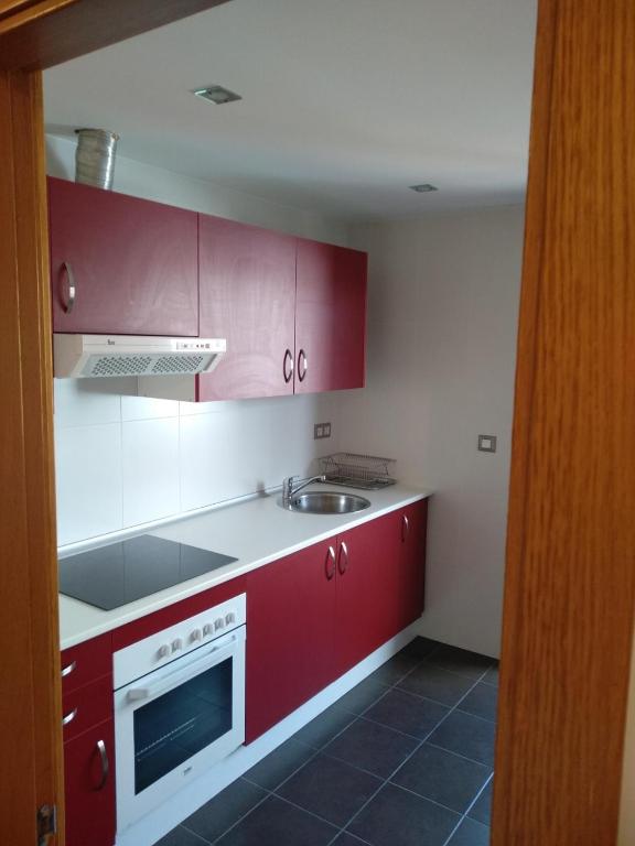 Kuchyň nebo kuchyňský kout v ubytování Apartamento Camiño dos Faros