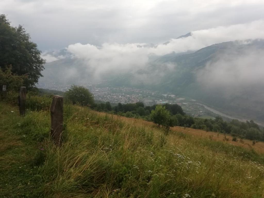 Příroda nedaleko apartmánu