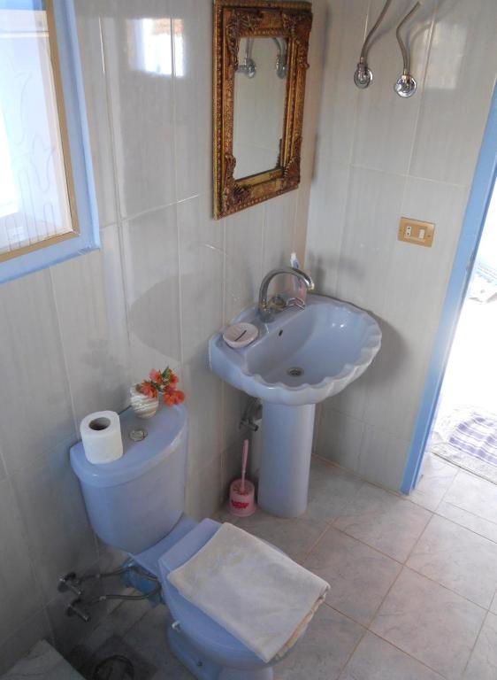 Villa Diletta Luxor - 8