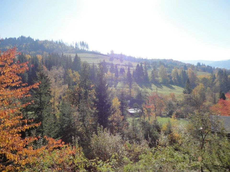 Príroda v okolí privátu