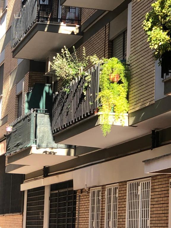 A balcony or terrace at The Royals