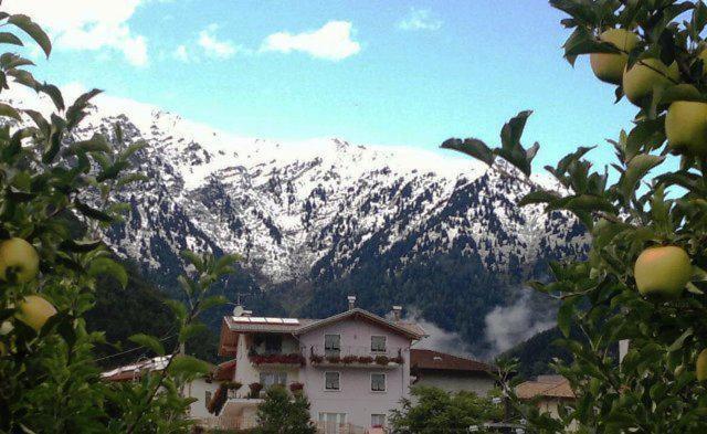 una casa frente a una montaña cubierta de nieve en Agritur Due Valli, en Livo