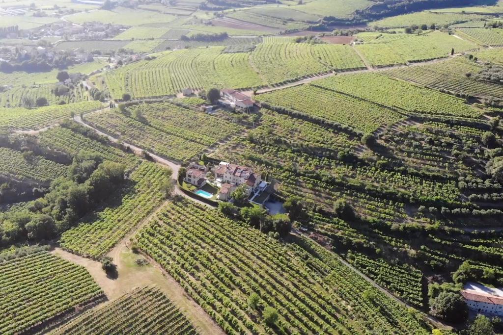 - une vue aérienne sur une maison dans un vignoble dans l'établissement Corte dei Soavi-Family rooms & Apartments, à Soave
