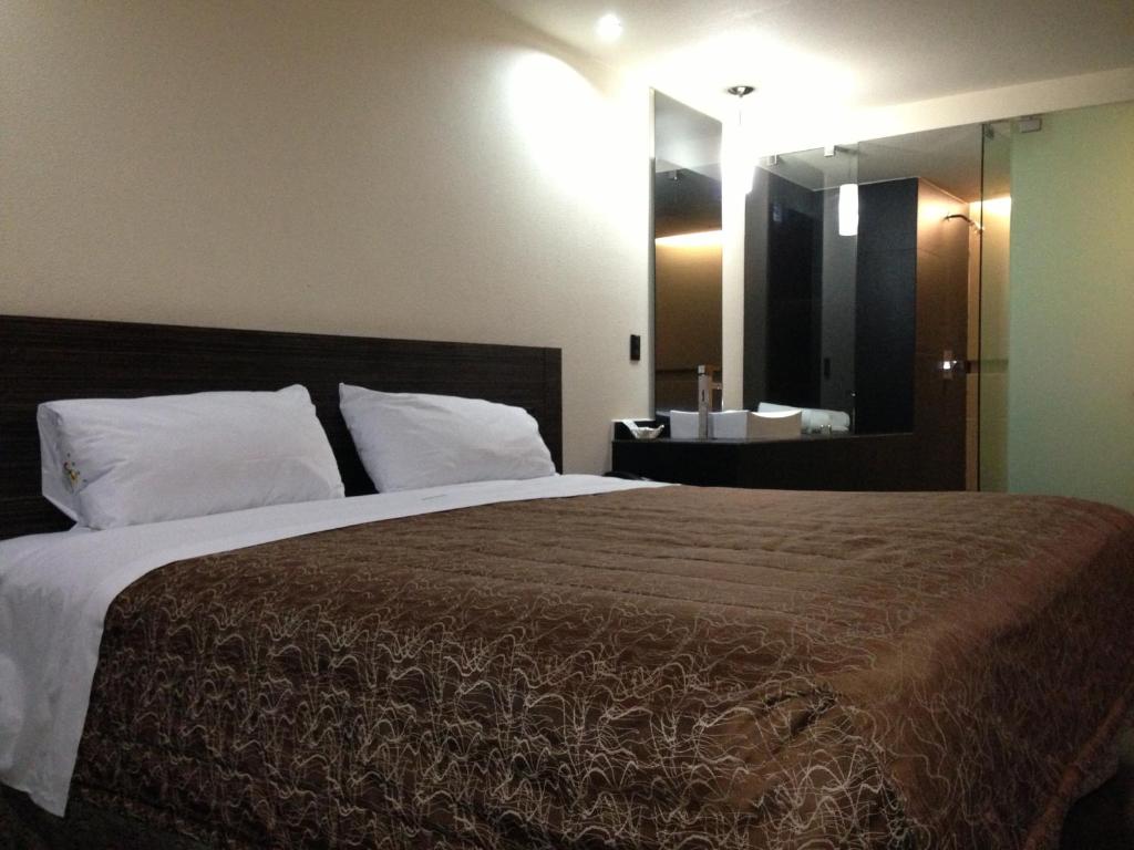 a bedroom with a large bed and a mirror at Hotel Amazonas in Mexico City