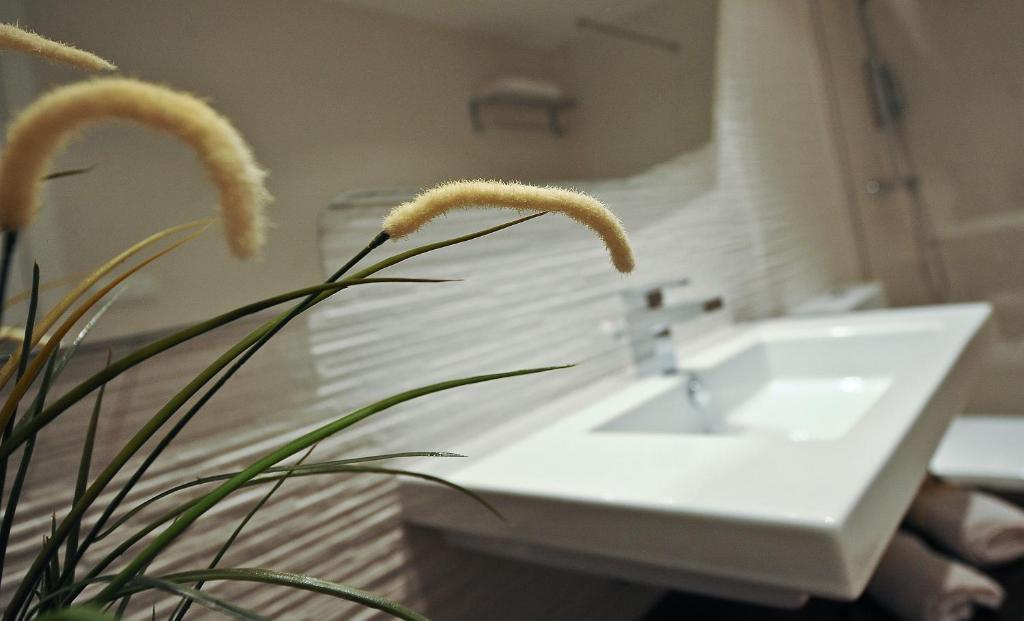 Fotografie z fotogalerie ubytování Apartamentos Turísticos Mirablanc v destinaci Valjunquera