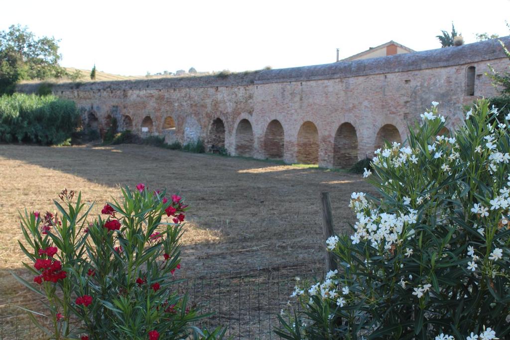 uma parede de tijolos com arcos num jardim com flores em Archi Rooms em Loreto