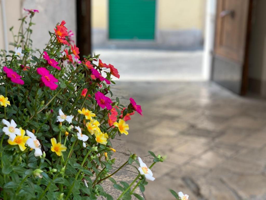 un bouquet di fiori colorati davanti a una porta di B&B La Corte a Santa Maria Capua Vetere