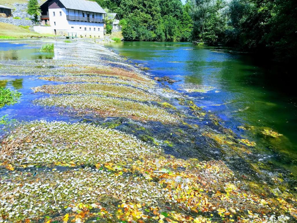 Příroda nedaleko apartmánu