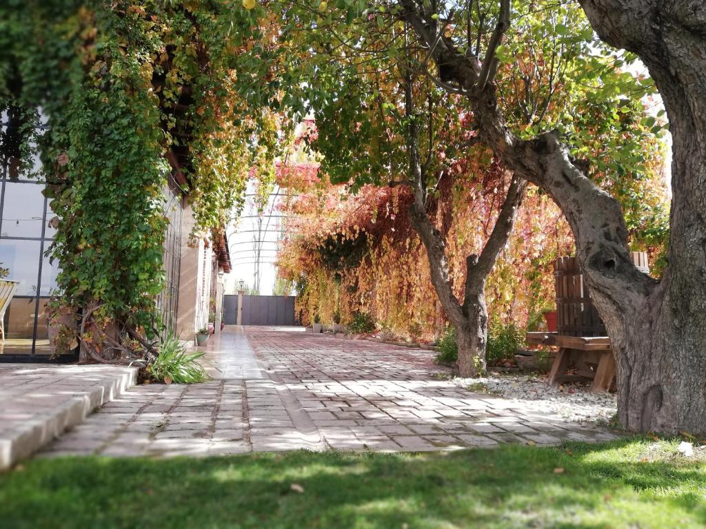 Zahrada ubytování Posada Finca Garciarena