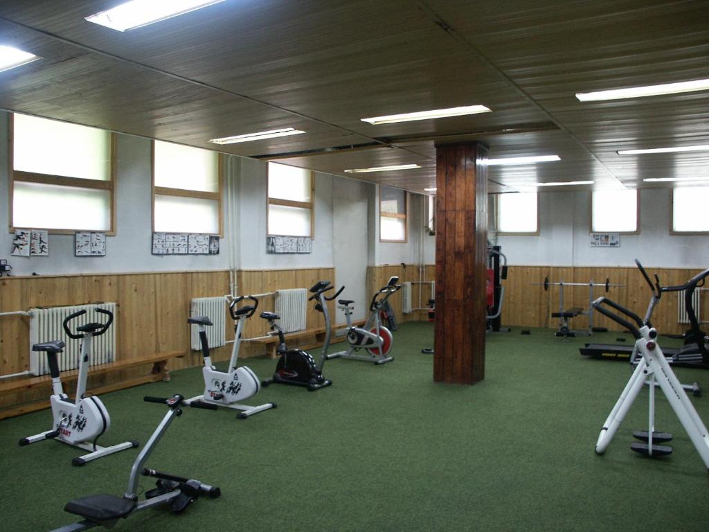 Fitness centrum a/nebo fitness zařízení v ubytování Hotel Tusnad