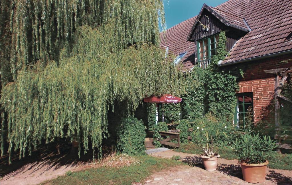 ein Haus mit weinender Weide im Hof in der Unterkunft Awesome Home In Thulendorf-sagerheide With 1 Bedrooms in Thulendorf
