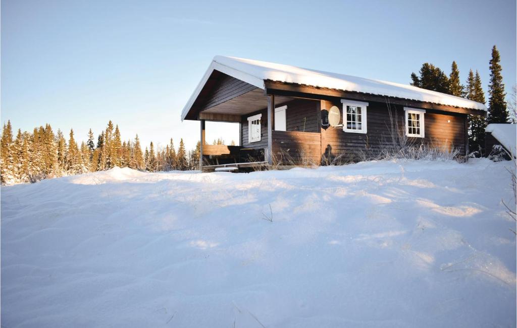 a log cabin in the snow with a lot of snow at Stunning Home In Gol With 2 Bedrooms in Sanderstølen