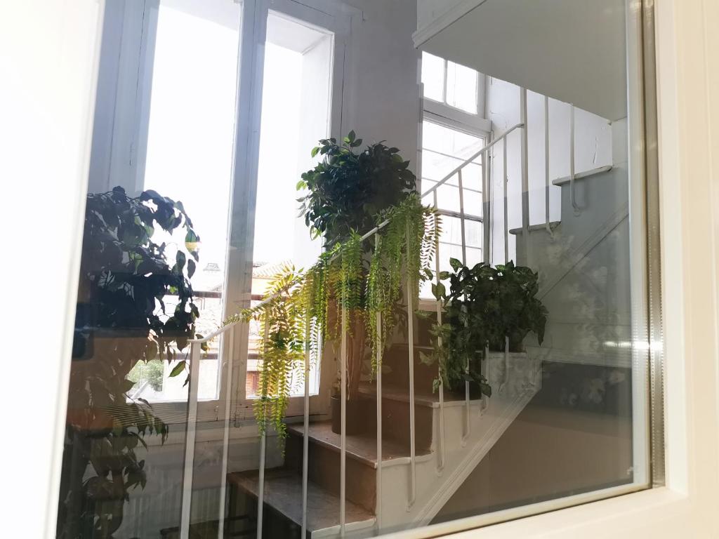 Rua Suites Boutique - 12