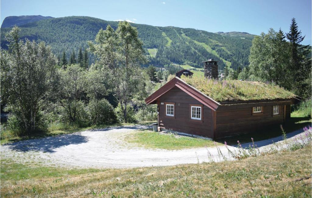 une petite maison avec un toit en gazon sur un champ dans l'établissement Holde, à Hemsedal