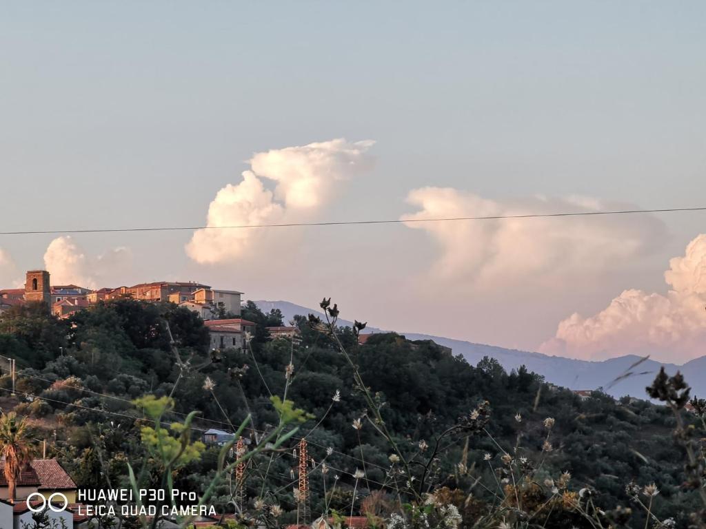 Casa Vacanze - B&B Il Tempone - Monolocale Con Vista Giardino