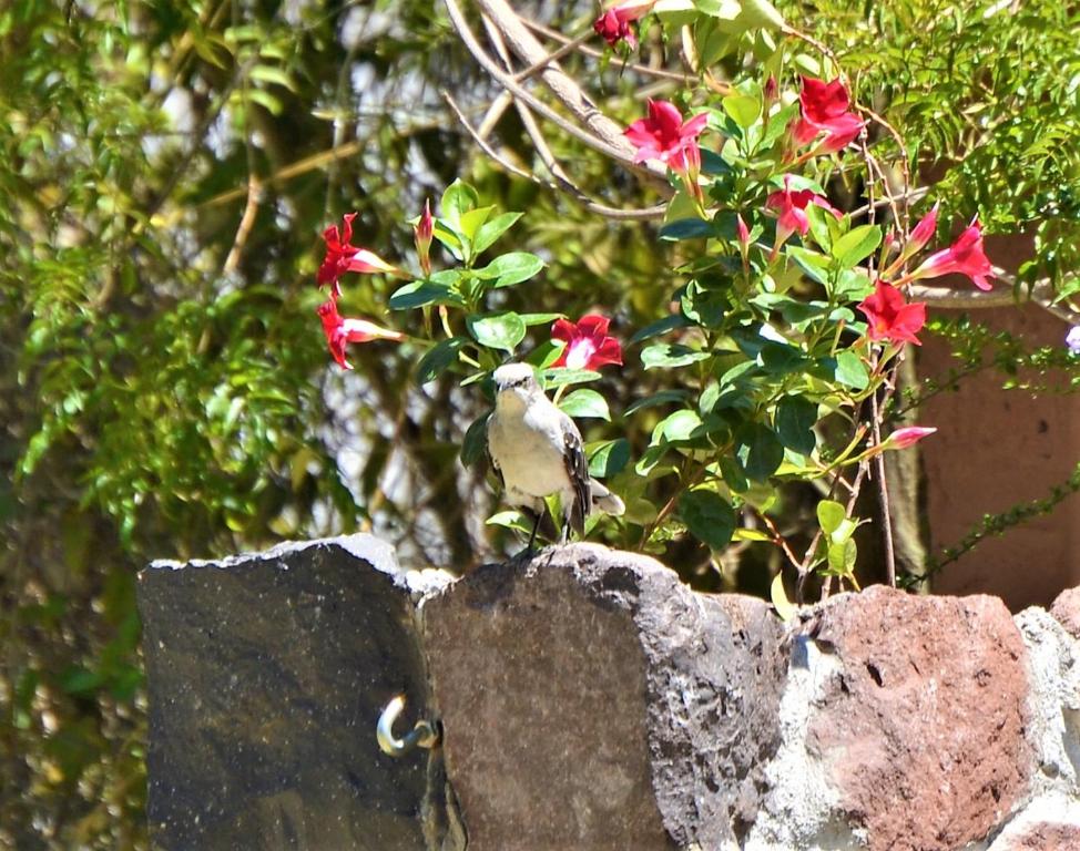 Fotografie z fotogalerie ubytování Ilatoa Lodge v destinaci Quito