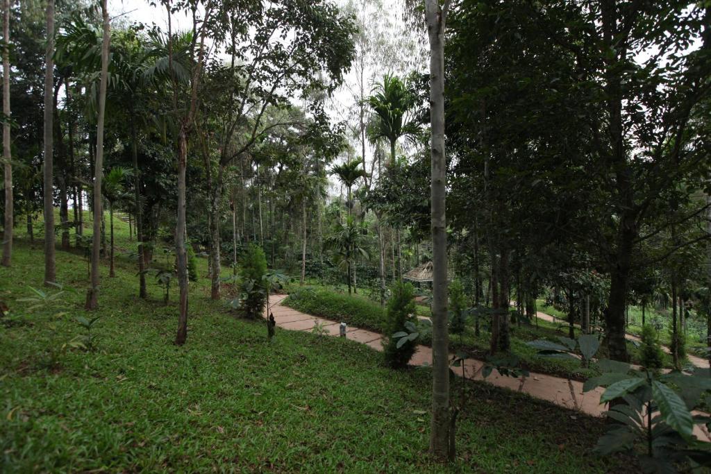 Zahrada ubytování The Woods Resorts Wayanad