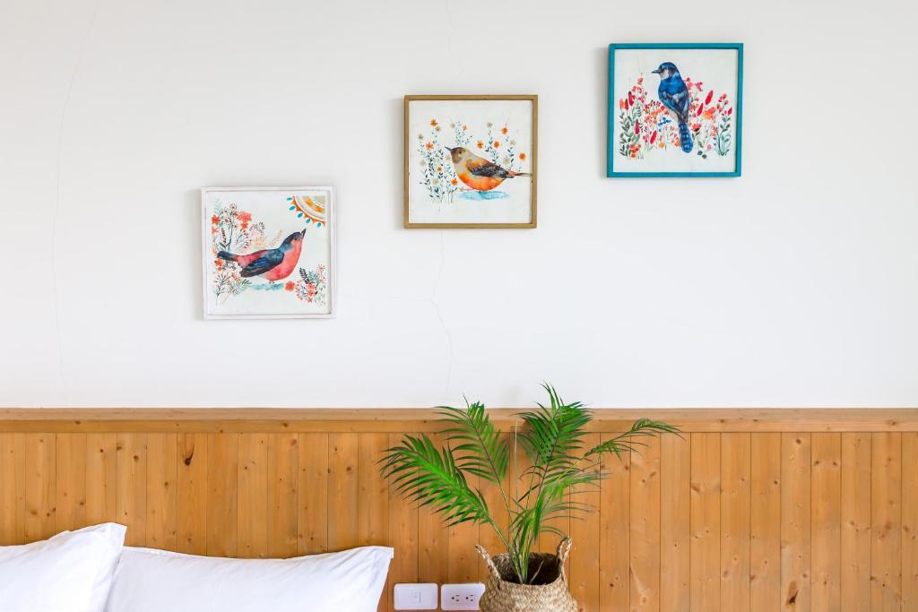 Fotografie z fotogalerie ubytování Cozy Green Guesthouse v destinaci Tchaj-tung