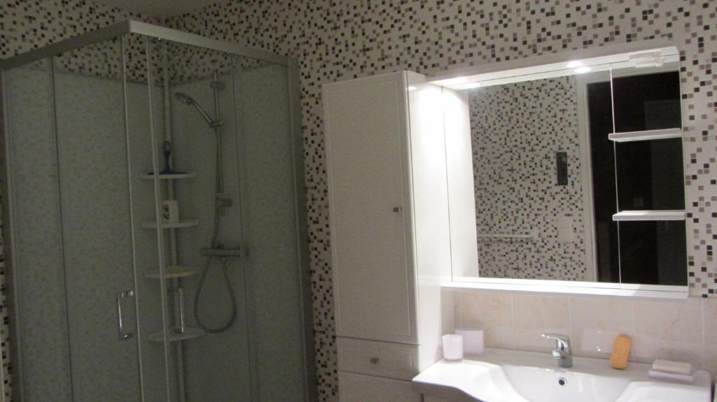 a bathroom with a shower and a sink and a mirror at Les Glycines in Choloy