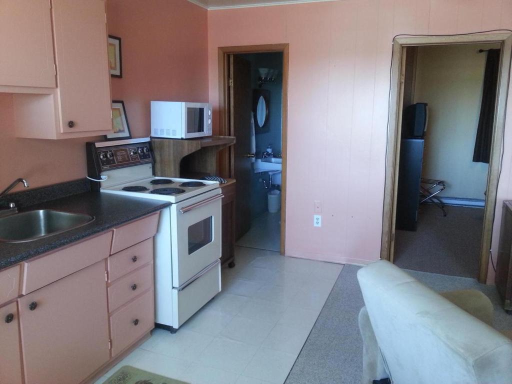 Kuchyň nebo kuchyňský kout v ubytování Maple Leaf Motel Emerson