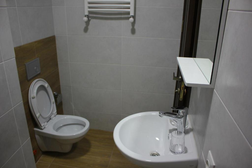 Borjomi-Likani Premium Apartments - Apartment With Mountain View