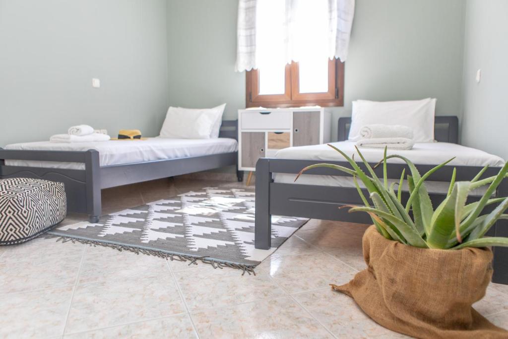A bed or beds in a room at Naxos View