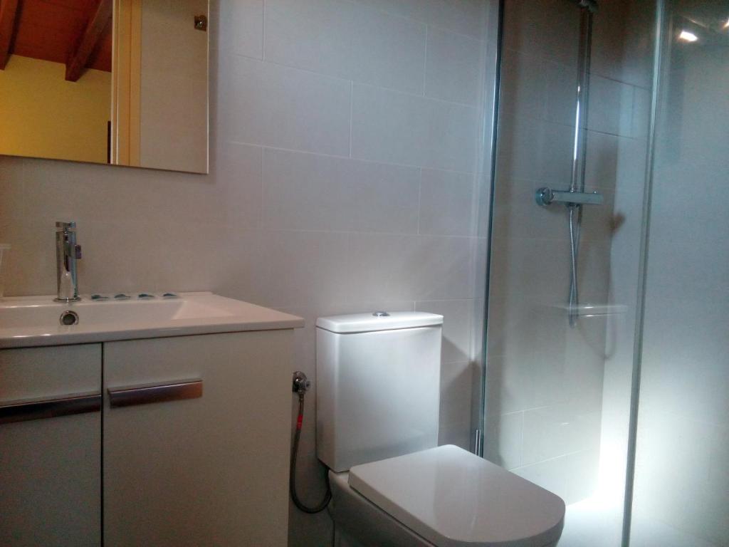 a bathroom with a toilet and a shower and a sink at CAN MENCIÓ - Plaça Major in Santa Pau