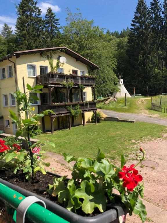 Zahrada ubytování Feriendorf Waldfrieden