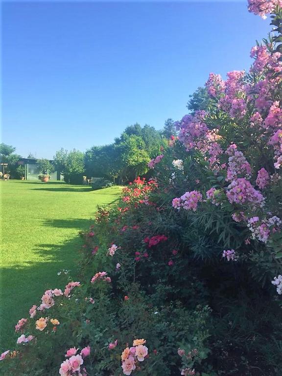Vonkajšia záhrada v ubytovaní La Pergola B&B
