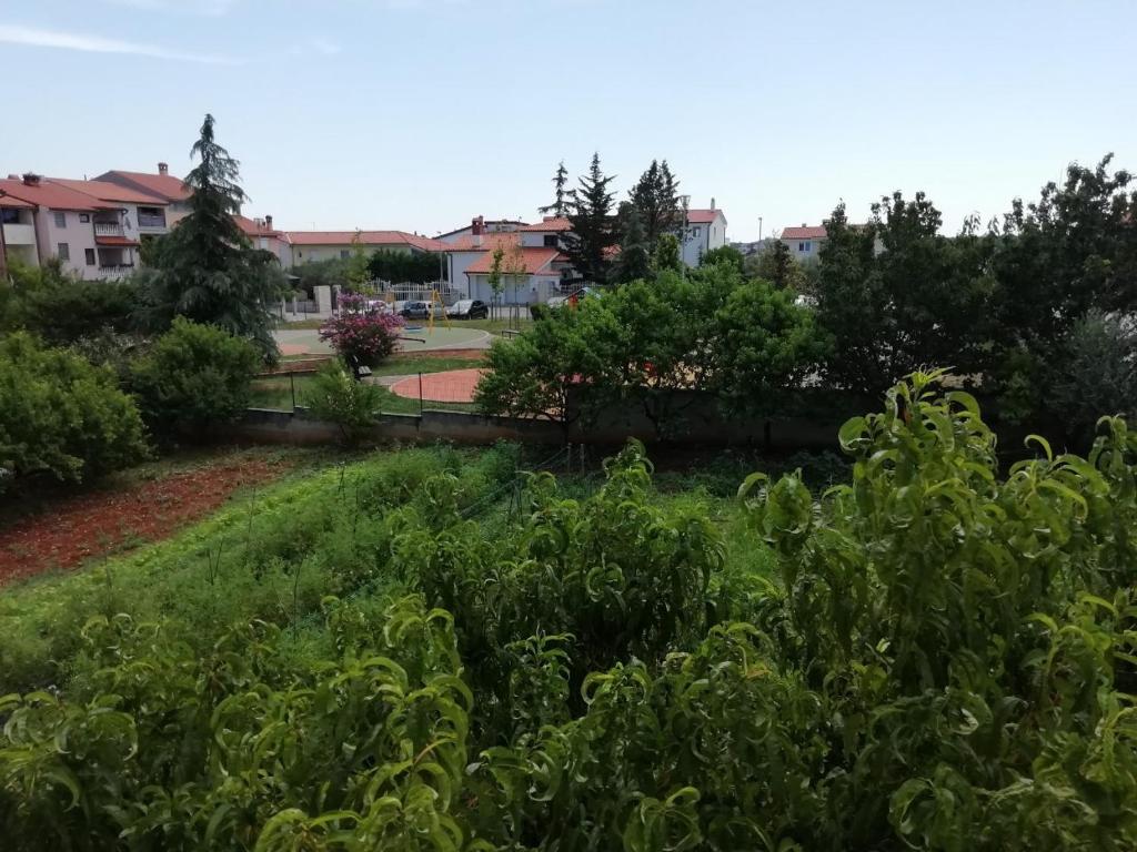 Gallery image of Apartment Casablanca in Pula