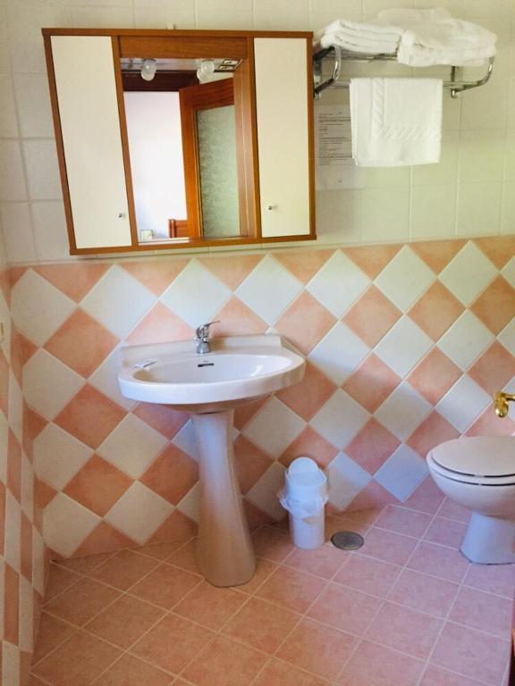 łazienka z umywalką, toaletą i lustrem w obiekcie Posada El Urogallo en el Valle de Cabuérniga w mieście Renedo