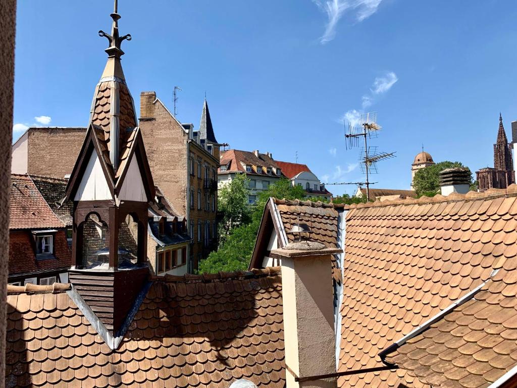 einen Blick auf die Dächer einer Stadt mit einer Kirche in der Unterkunft Les Appartements du Renard in Straßburg