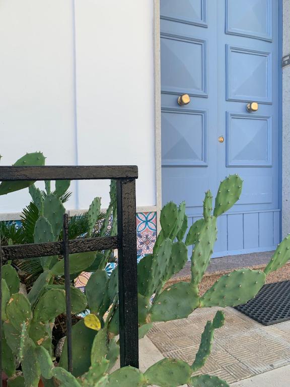 Fotografie z fotogalerie ubytování B&B Giallolumia v destinaci Portopalo