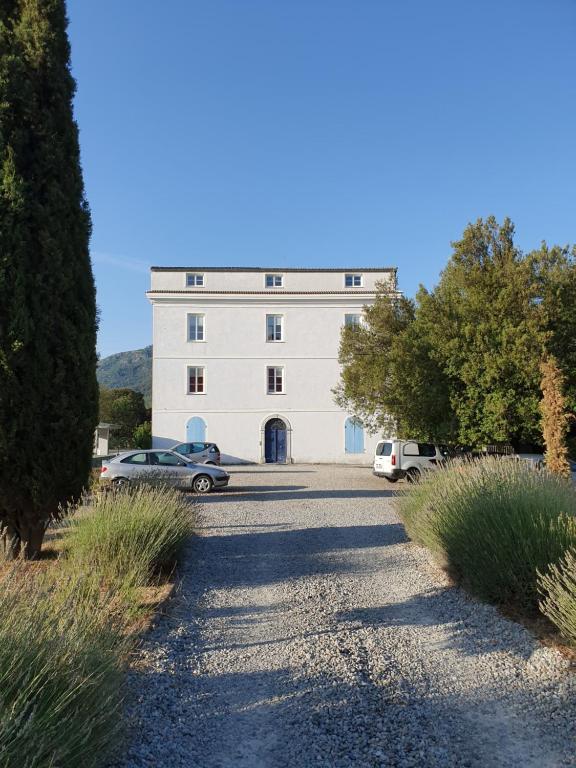 un bâtiment blanc avec des voitures garées devant lui dans l'établissement Casa Guelfucci, à Corte