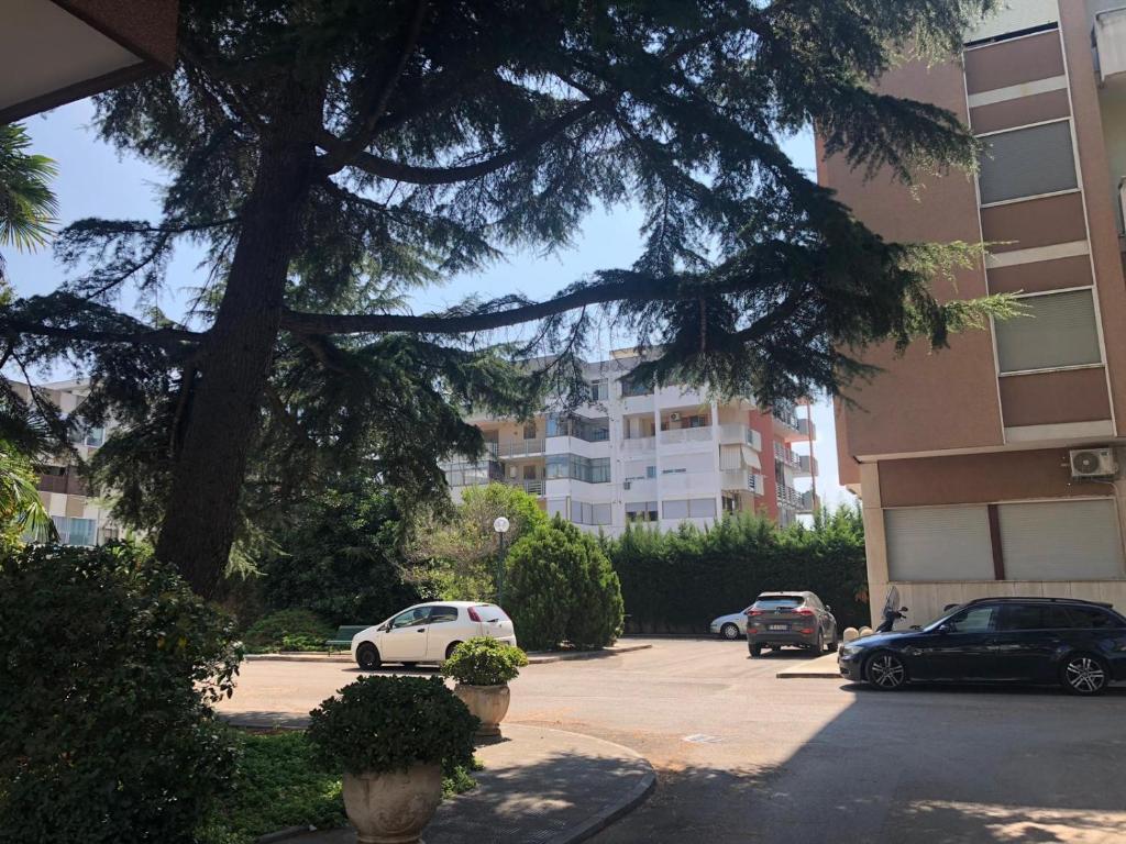 The building in which a panziókat is located