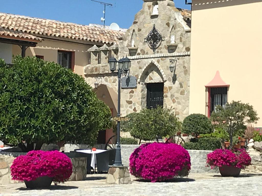 Zahrada ubytování Cortijo Salinas